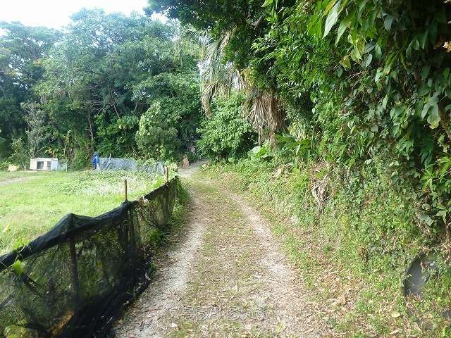 351㎡ Rental Land in Urasoe Maeda, Okinawa | Near Monorail - Thumbnail 3