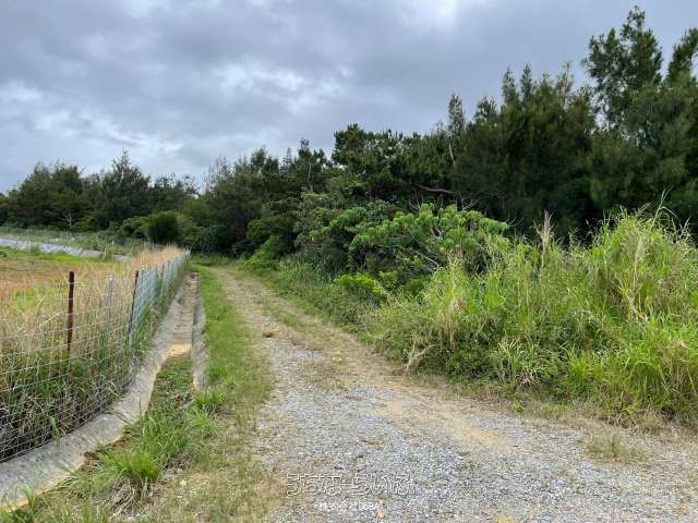 6612 sqm Land for Sale in Teniya, Nago City, Okinawa - Thumbnail 2