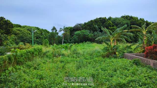 1322 Tsubo Development Land for Sale in Shiraho, Ishigaki - Thumbnail 4