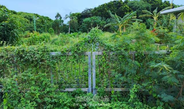 1322 Tsubo Development Land for Sale in Shiraho, Ishigaki - Thumbnail 3