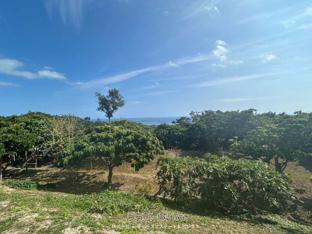 4552 sqm Ocean View Land for Sale in Nanjo City, Okinawa - Thumbnail 3