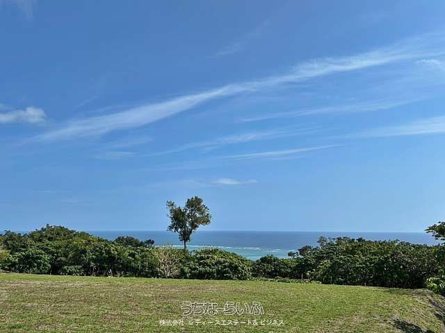 4552 sqm Ocean View Land for Sale in Nanjo City, Okinawa - Thumbnail 2