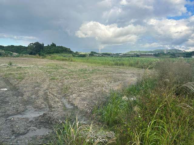 Large 4170m² Agricultural Land for Sale in Nanjo City, Okinawa - Thumbnail 2