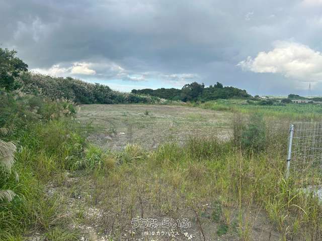 Large 4170m² Agricultural Land for Sale in Nanjo City, Okinawa - Thumbnail 3