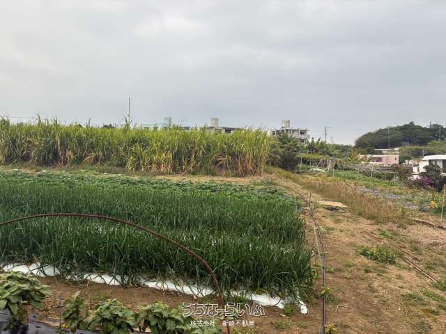 1280m² Land for Sale in Yaese Town, Okinawa - Requires Farmland Conversion - Thumbnail 4