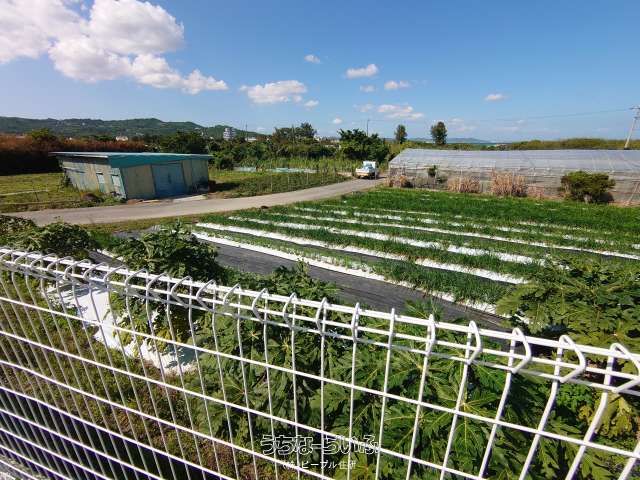 607m² Land for Sale in Sashiki, Nanjo City, Okinawa - Thumbnail 2