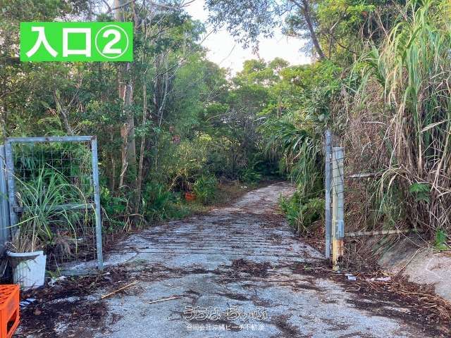 16,837 sqm Agricultural Land with Structures in Higashi Village, Okinawa - Thumbnail 3
