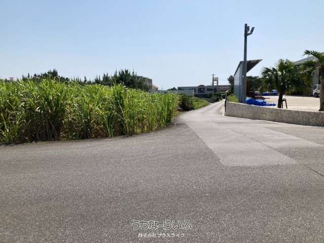 3897 sqm Farmland for Sale in Miyakojima City, Okinawa - Thumbnail 3