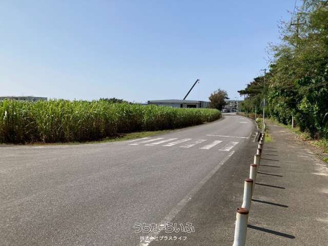 3897 sqm Farmland for Sale in Miyakojima City, Okinawa - Thumbnail 4