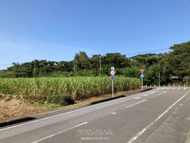3897 sqm Farmland for Sale in Miyakojima City, Okinawa - Thumbnail 2