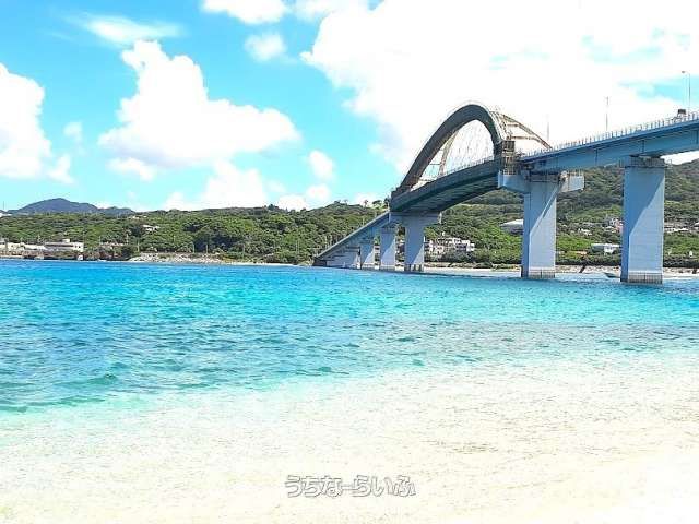 780 Tsubo Ocean View Land for Sale in Motobu, Okinawa - Thumbnail 4