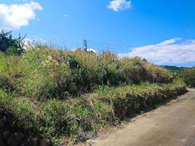 Land for Sale in Shinzato, Nanjo City, Okinawa - 250.11 sqm - Thumbnail 2