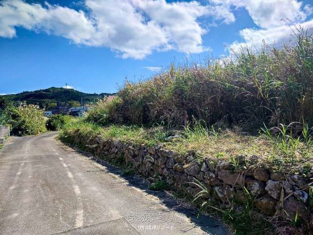 Land for Sale in Shinzato, Nanjo City, Okinawa - 250.11 sqm - Thumbnail 3