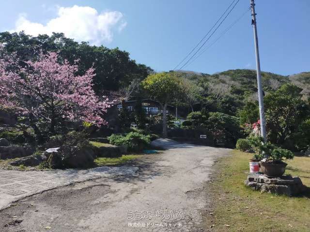 38,048 sqm Land for Sale in Nakijin Village, Okinawa - Thumbnail 4