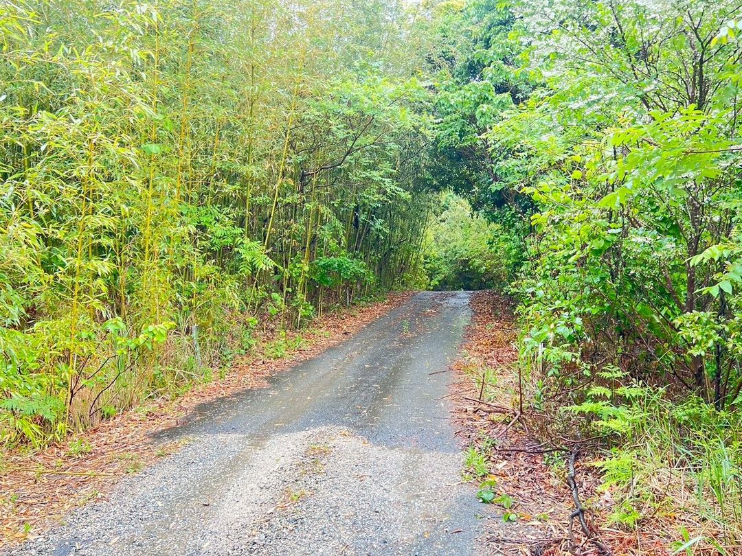 Vacant Land for Sale in Munakata City, Fukuoka - 107 sqm - Thumbnail 2