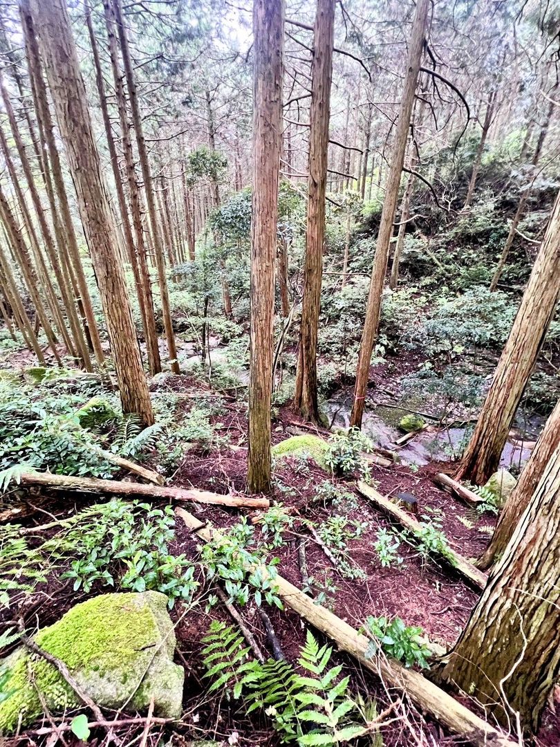 Land for Sale in Wakiyama, Fukuoka - No Building Permitted - Thumbnail 3