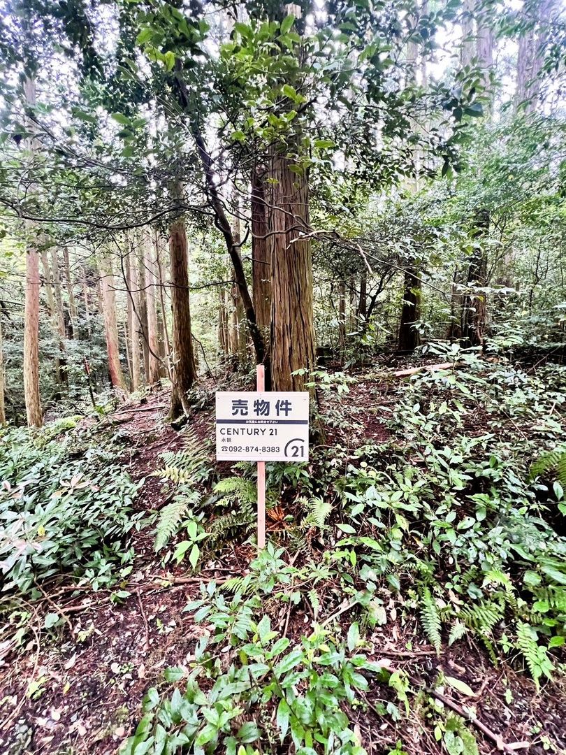 Land for Sale in Wakiyama, Fukuoka - No Building Permitted - Thumbnail 4