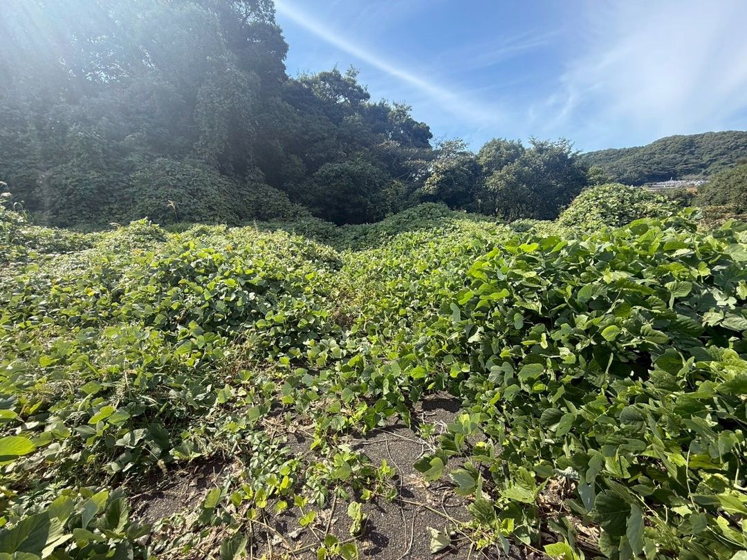 Vacant Land for Sale in Munakata City, Fukuoka - Ideal Storage Yard - Thumbnail 4