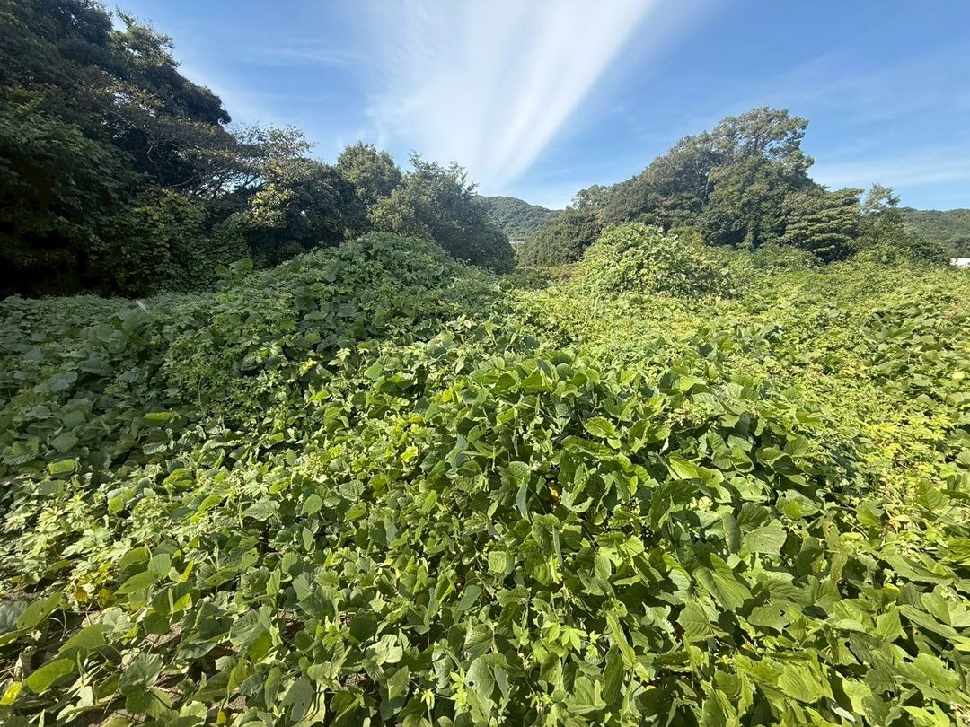Vacant Land for Sale in Munakata City, Fukuoka - Ideal Storage Yard - Thumbnail 3