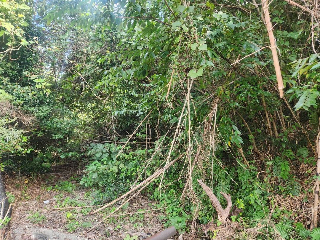 Land for Sale in Sawara Ward, Fukuoka - 132 sqm Vacant Plot - Thumbnail 3