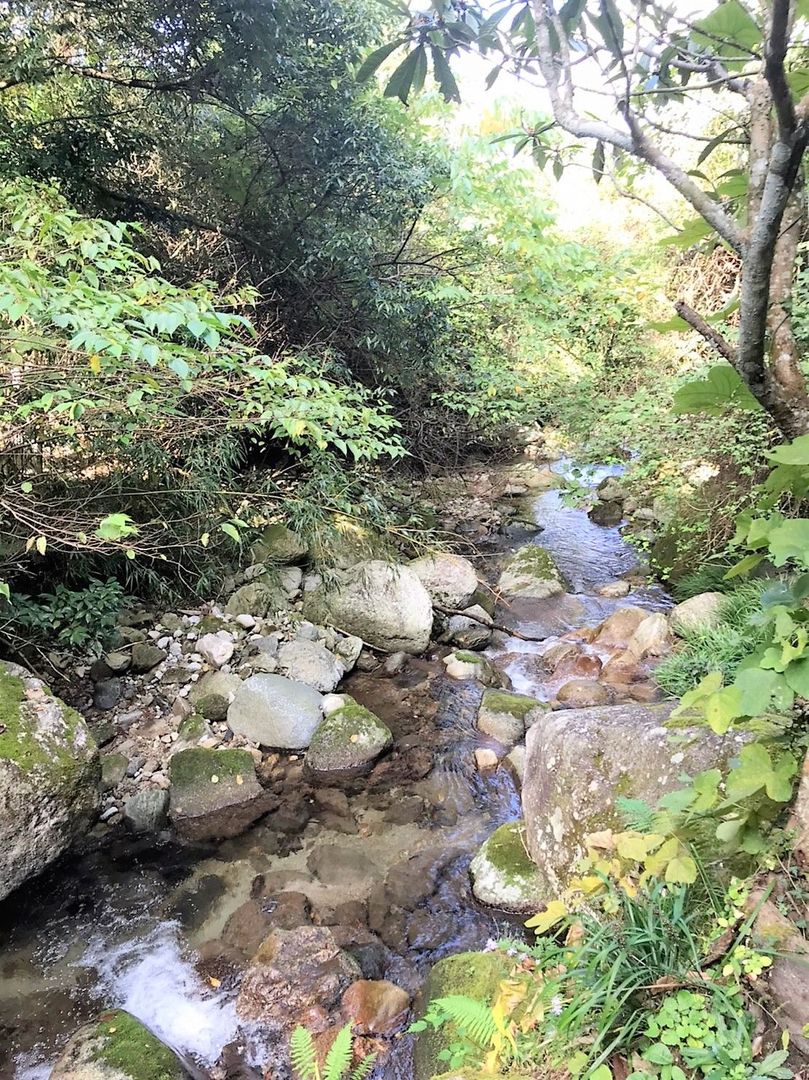 Land for Sale in Early Ward, Fukuoka - 101 sqm Forest Plot - Thumbnail 3