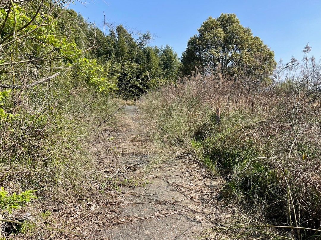 Vacant Land for Sale in Tosu City, Saga - Ideal for Storage or Camping - Thumbnail 4