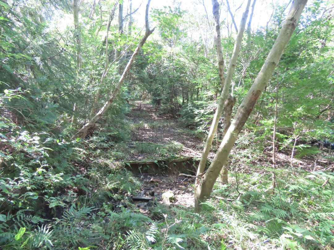 Vacant Land for Sale in Fukuoka Nishi Ward, Ideal for Camping - Thumbnail 4