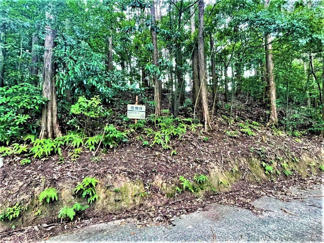 Land for Sale in Wakiyama, Fukuoka City - 100 sqm Plot - Thumbnail 4