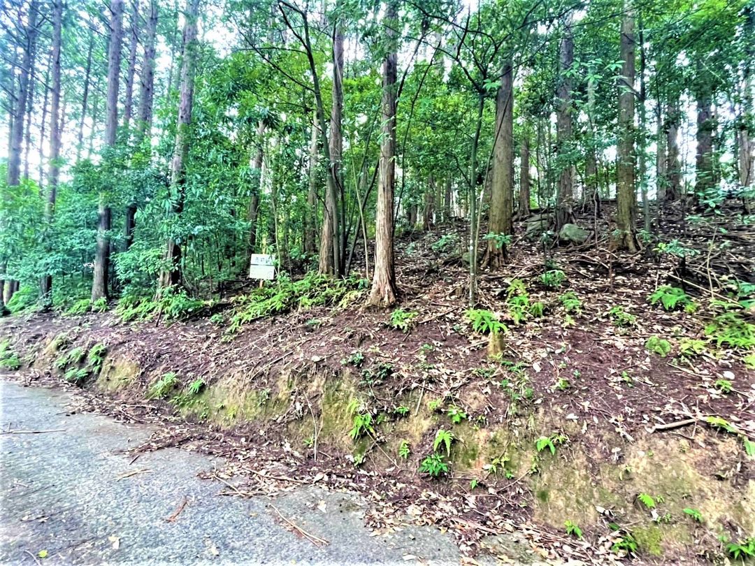 Land for Sale in Wakiyama, Fukuoka City - 100 sqm Plot - Thumbnail 2