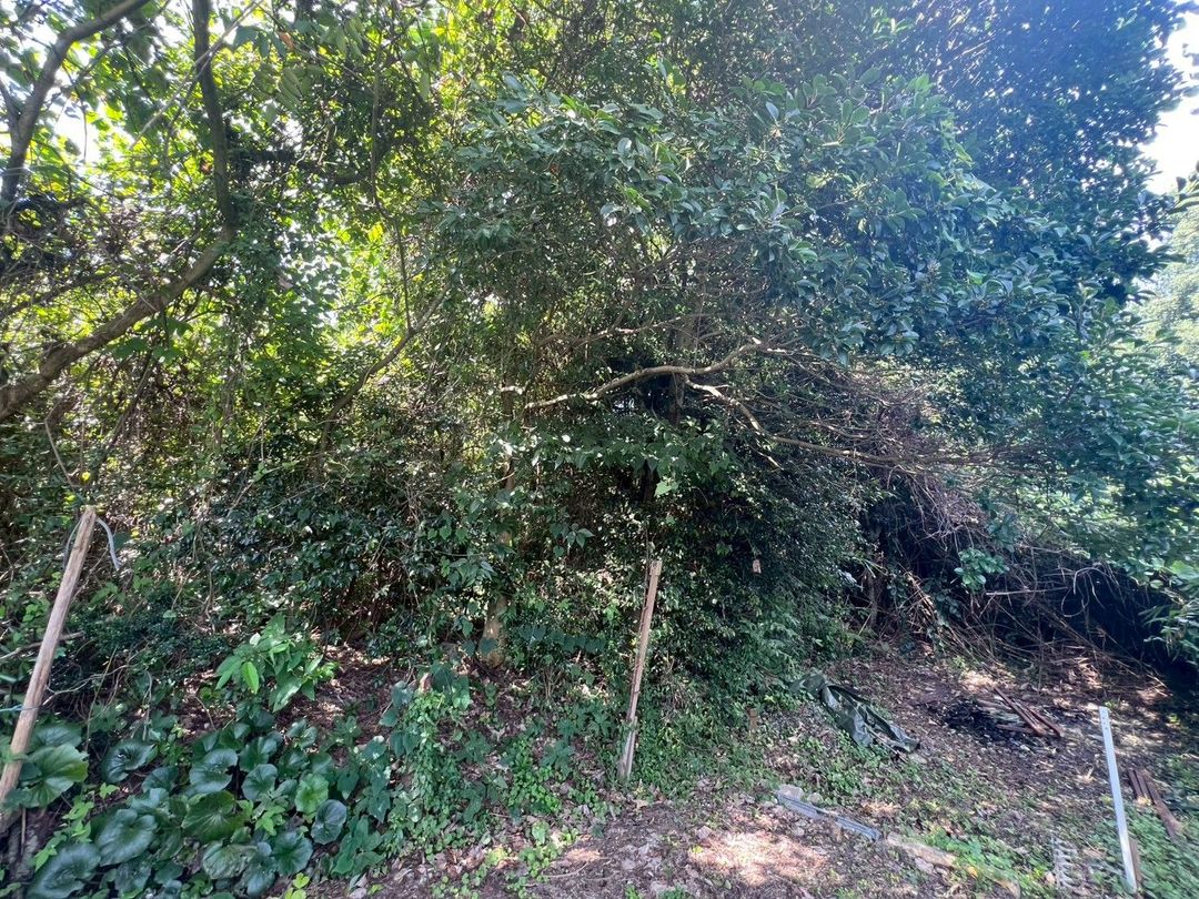 119 Tsubo Vacant Land for Sale in Tosu City, Saga - Thumbnail 3