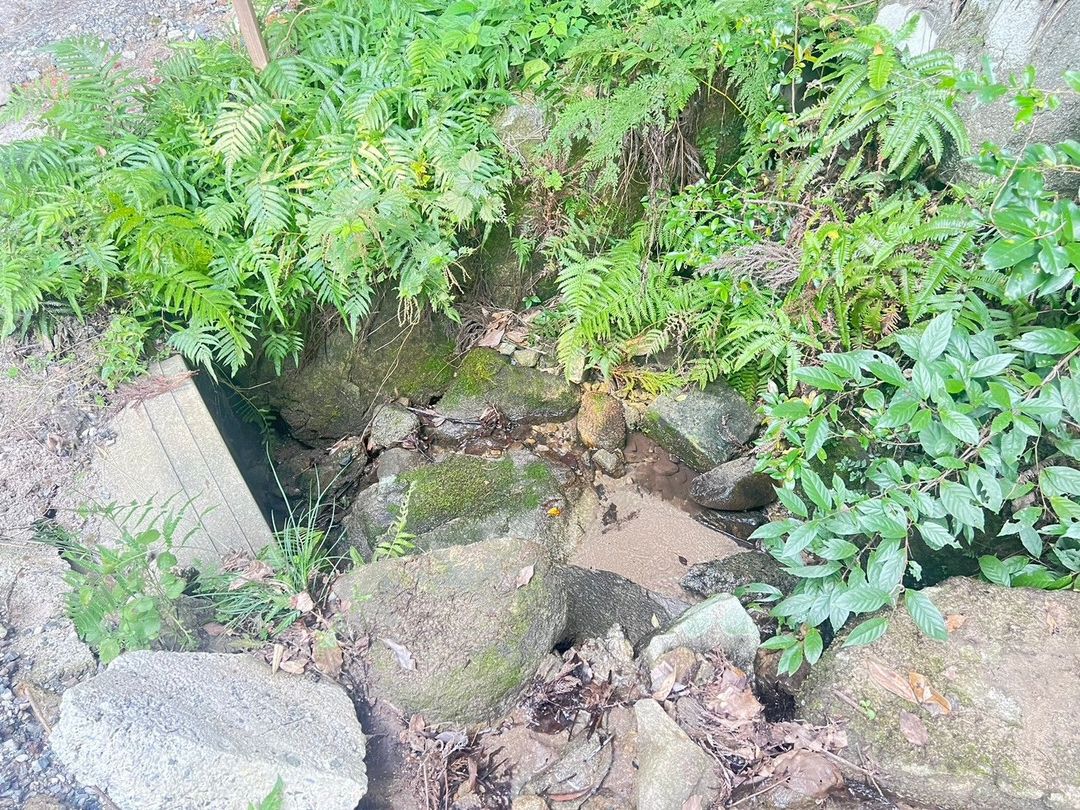 Land for Sale in Chikushino, Fukuoka - Perfect for Camping - Thumbnail 2