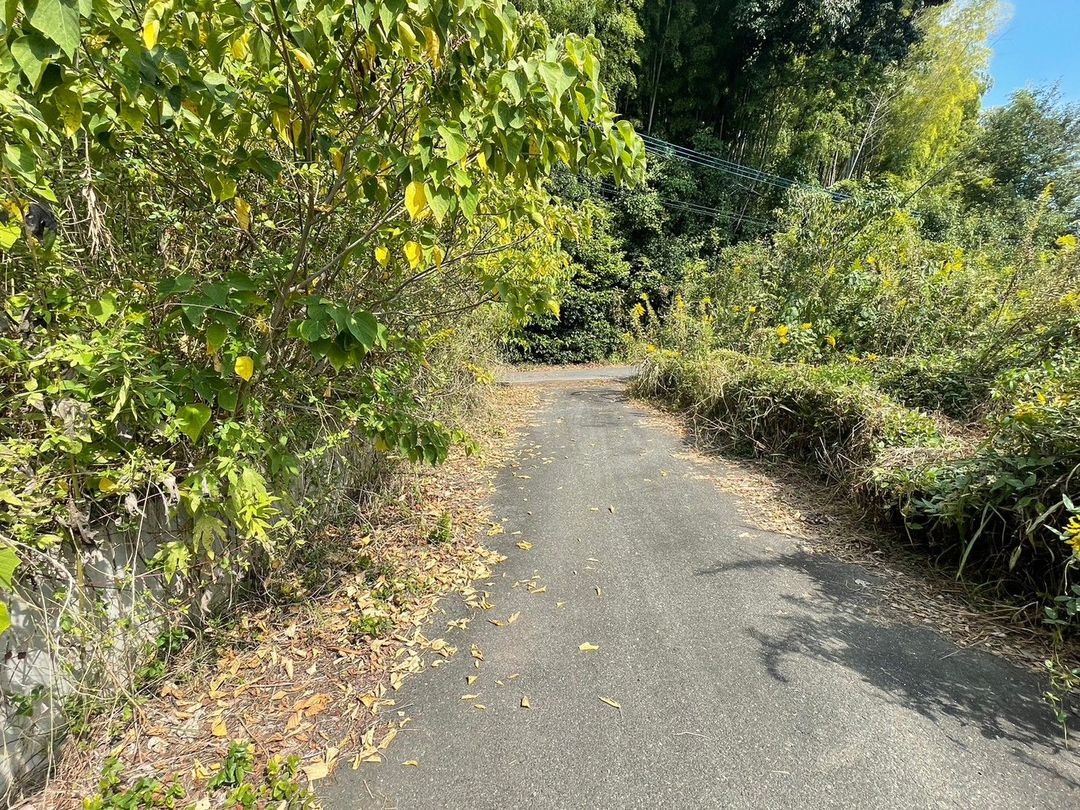 67.76 Tsubo Vacant Land for Sale in Tosu City, Saga - Thumbnail 3