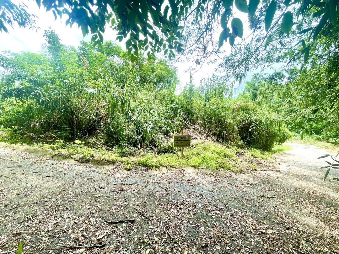 Fukuoka Nishi Ward Land for Sale - Ideal for Beekeeping & Fruit Trees - Thumbnail 2