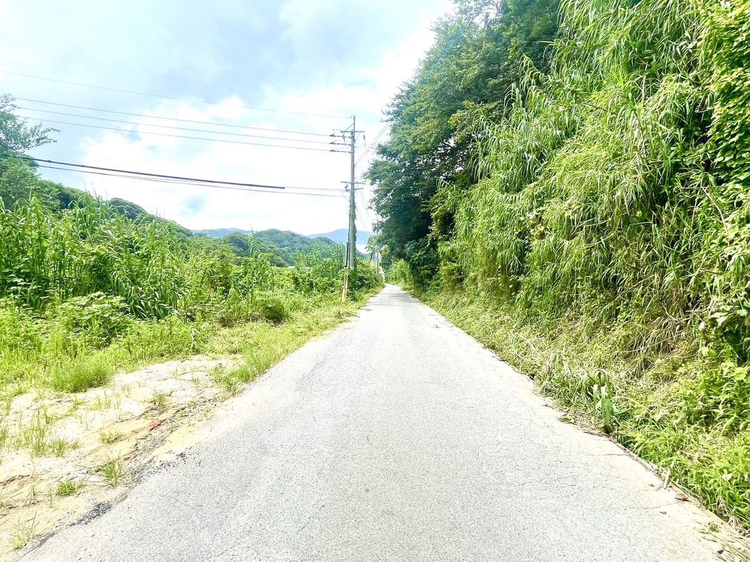 Fukuoka Nishi Ward Land for Sale - Ideal for Beekeeping & Fruit Trees - Thumbnail 3