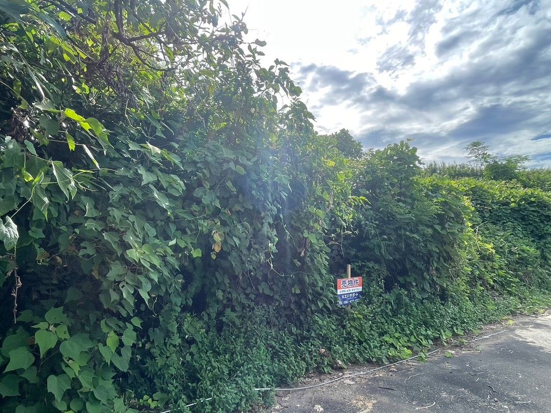 Vacant Land for Sale in Sone, Itoshima City, Fukuoka - Thumbnail 4