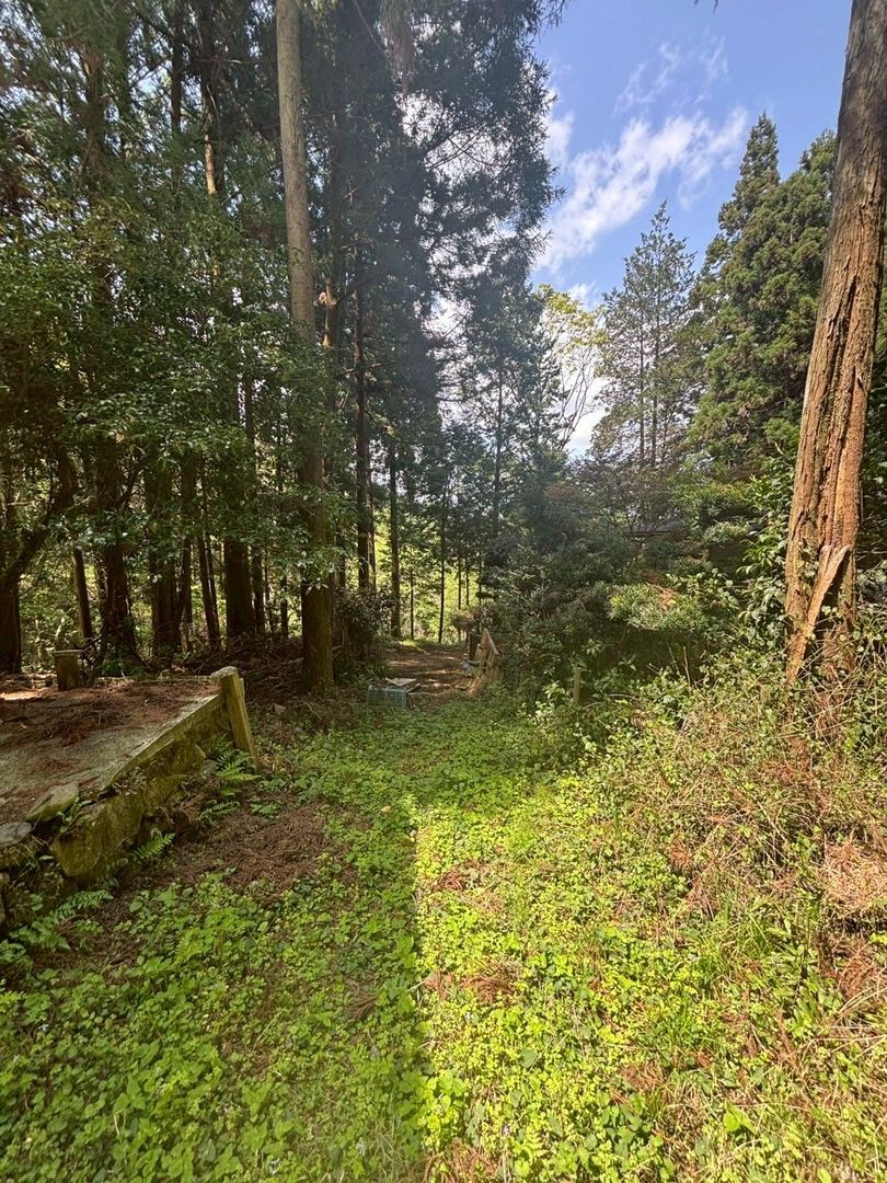 Forest Land for Sale in Itoshima, Fukuoka - Ideal for Retreat - Thumbnail 4