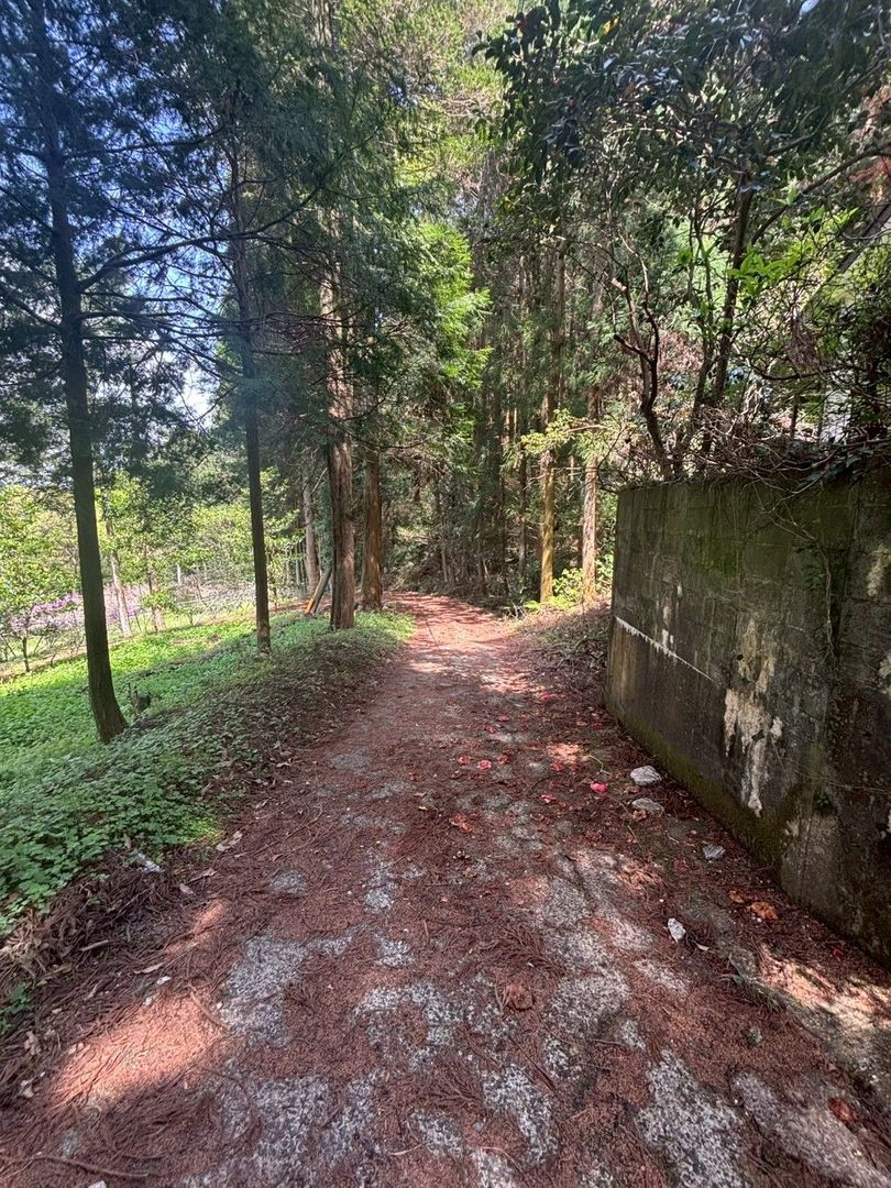 Forest Land for Sale in Itoshima, Fukuoka - Ideal for Retreat - Thumbnail 3