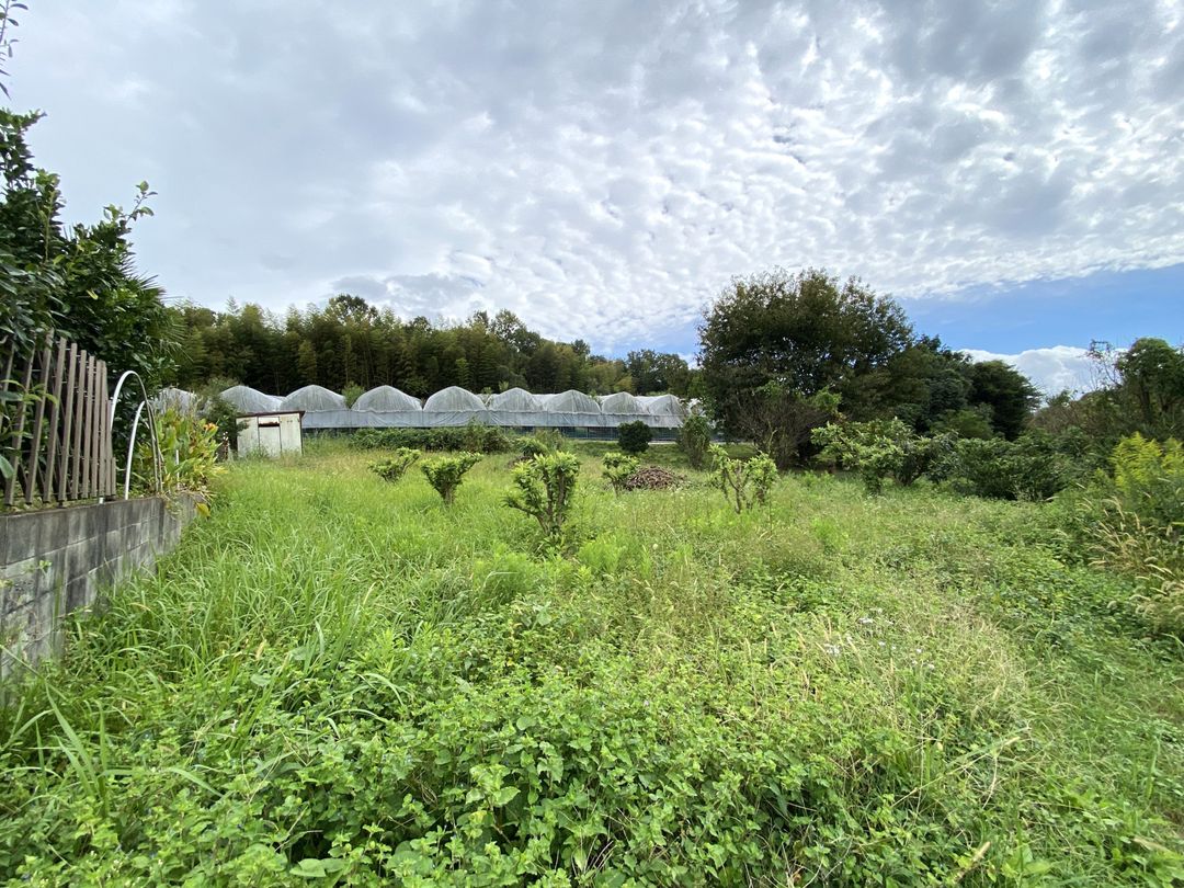 122.5 Tsubo Farmland with Loquat Trees for Sale in Kurume - Thumbnail 3
