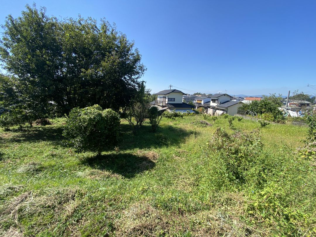 122.5 Tsubo Farmland with Loquat Trees for Sale in Kurume - Thumbnail 2