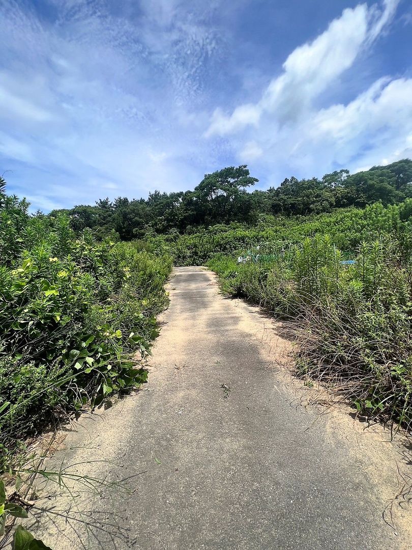 82 sqm Vacant Land for Sale in Munakata City, Fukuoka - Thumbnail 2