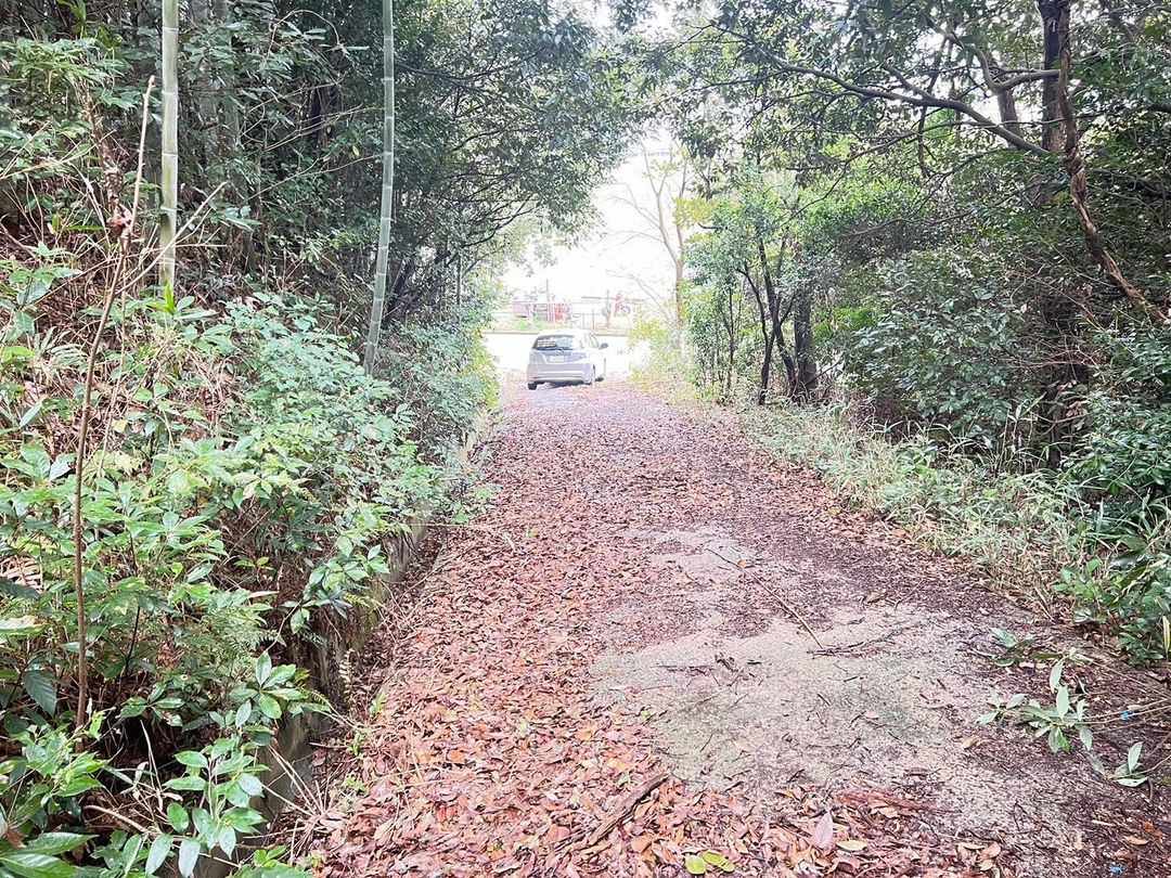 Vacant Forest Land for Sale in Itoshima, Fukuoka - Natural Retreat - Thumbnail 4