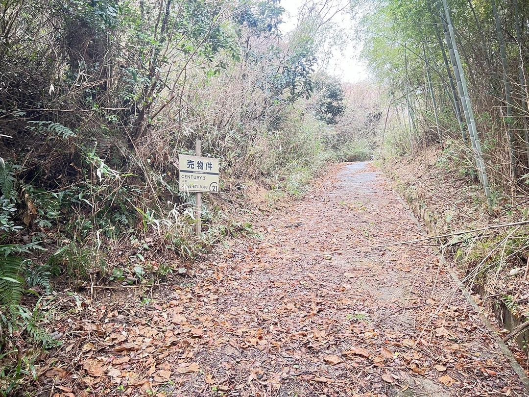 Vacant Forest Land for Sale in Itoshima, Fukuoka - Natural Retreat - Thumbnail 3