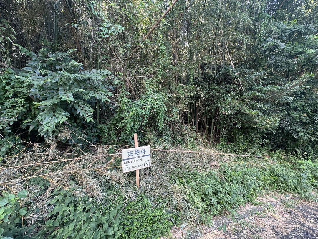 Land for Sale in Munakata City, Fukuoka - 62 sqm Parcel - Thumbnail 4