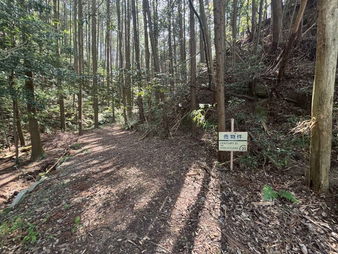 Forested Hillside Land for Sale in Fukuoka's Minami Ward - Thumbnail 4