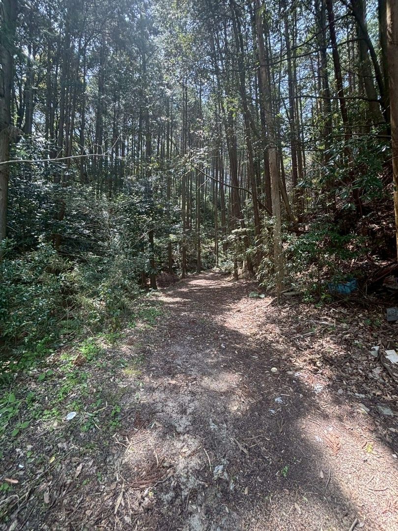 Forested Hillside Land for Sale in Fukuoka's Minami Ward - Thumbnail 2