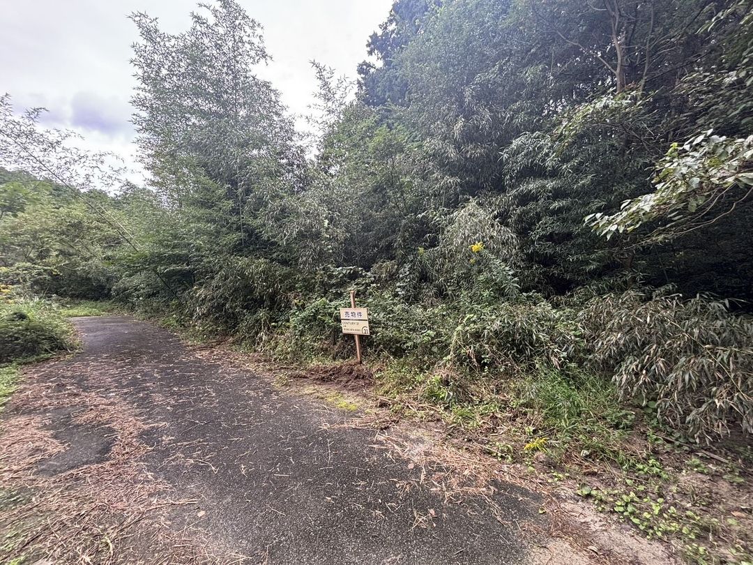 Forest Land for Sale in Fukuoka Minami Ward - 380,000 Yen - Thumbnail 3
