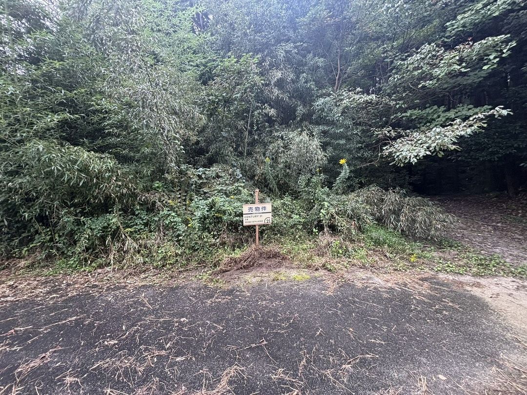 Forest Land for Sale in Fukuoka Minami Ward - 380,000 Yen - Thumbnail 4
