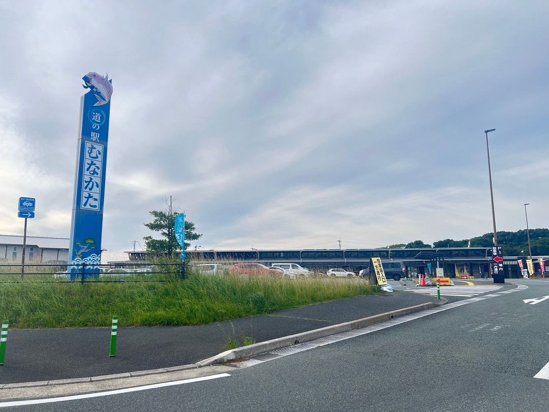 Forest Land for Sale in Munakata City, Fukuoka - 48 sqm Plot - Thumbnail 4