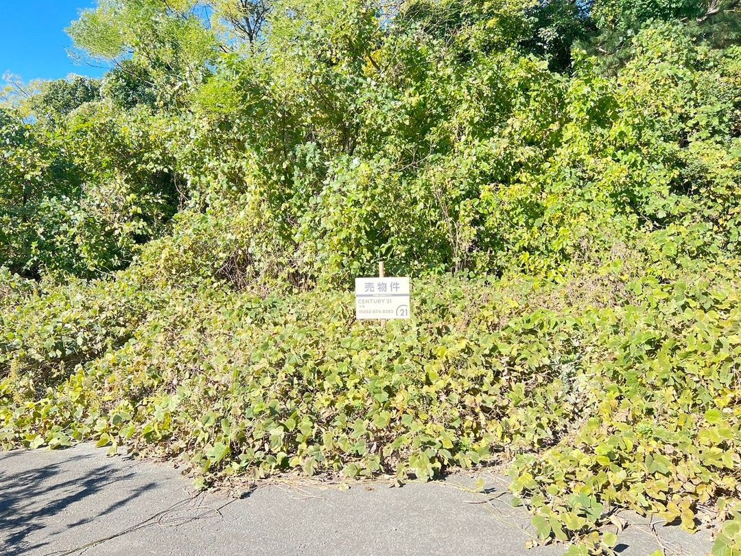 Forest Land for Sale in Munakata City, Fukuoka - 48 sqm Plot - Thumbnail 2