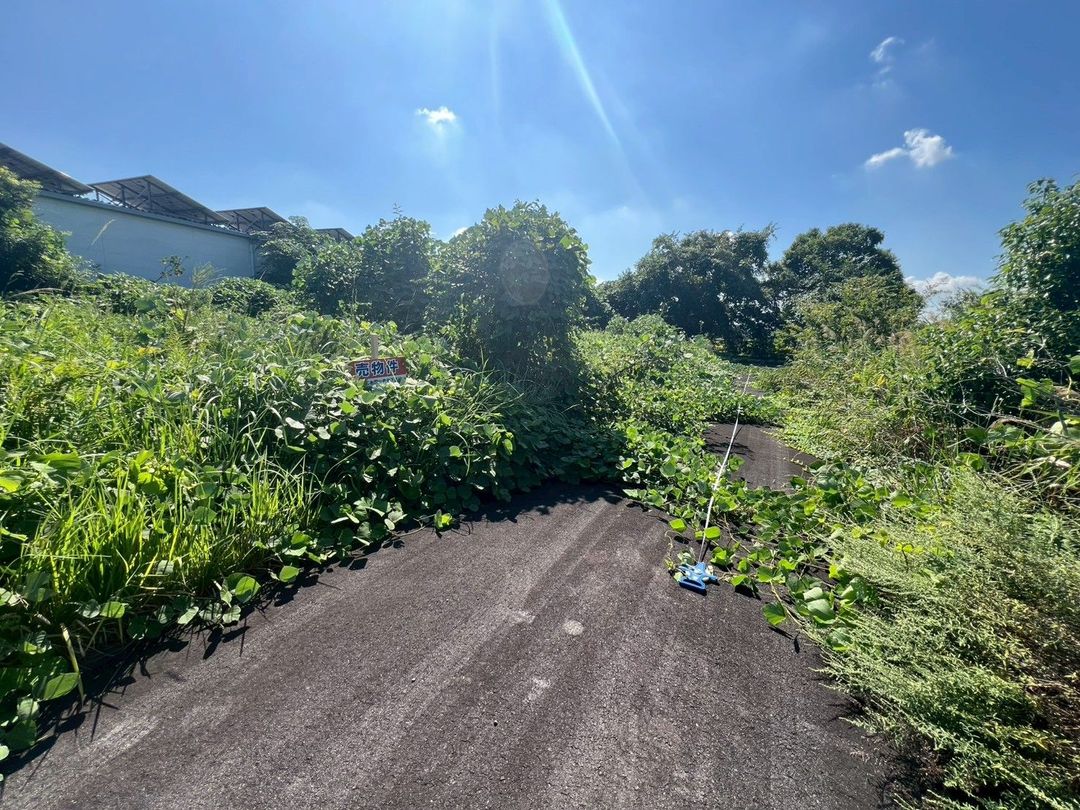 Non-Buildable Land for Sale in Kurume, Fukuoka - Ideal for Storage - Thumbnail 4